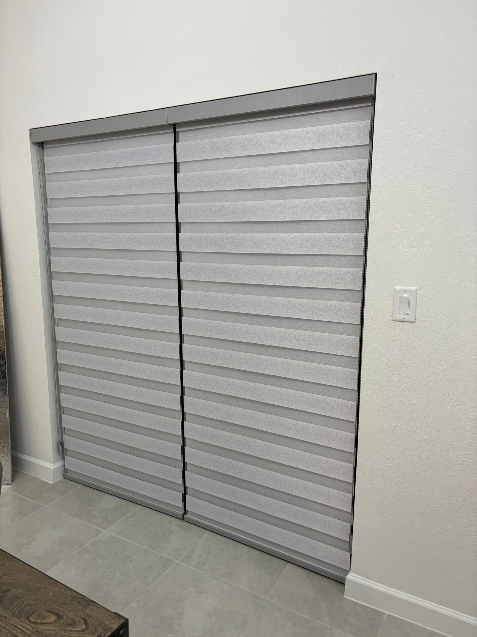 sleek door blinds, illustrating minimalist design and smart control