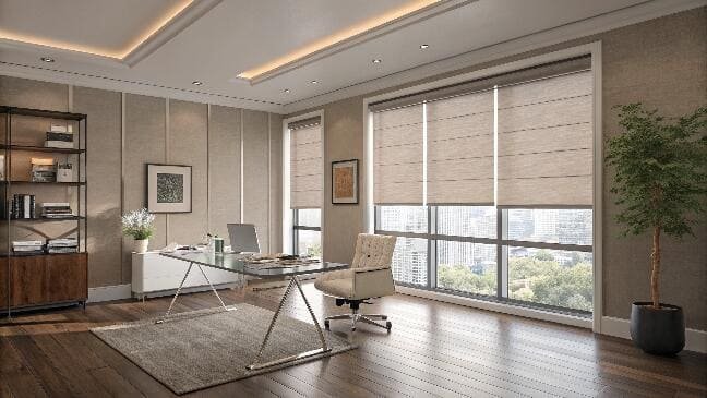 Executive office with modern roman blinds and city view