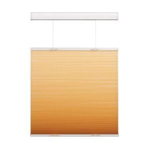 Cordless Top Down Honeycomb Cellular BlindsBlinds